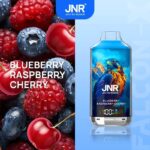 Puff 20kPuff JNR 18K (Falcon X 18000) - Guida completa Francia: specifiche, confronto, prezzo, anti-contraffazioneblueberry raspberry cherry