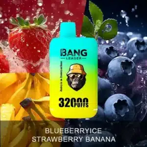 Puff 32kBang Leader 32000 puff 32k - Complete gids NL (interactief)bang king puffs double pod double mesh
