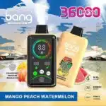 Puff 36kBang 36000 Puff Fingerprint - Complete Guide 2025bang k puff