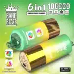 Aromi 6 in 1Bang Blaze 100000 Puffs 100K 6 in 1 : Guida completa 2025 | PUFF9Kimgi bang blaze puffs