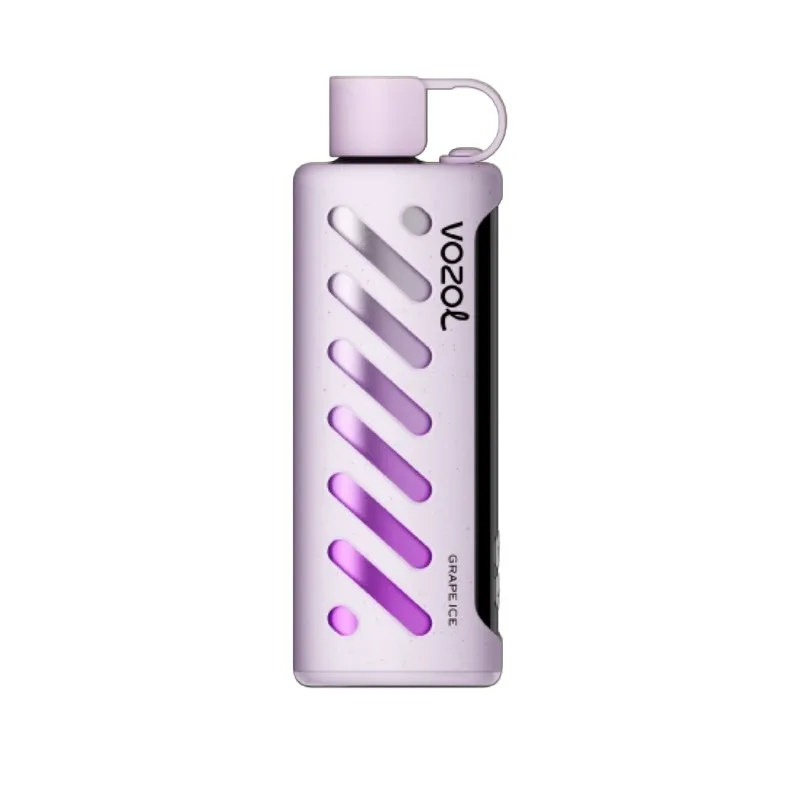 Home Puff9kimgi grape ice vozol gear shisha