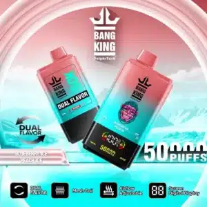 Dual Flavor European Warehouse Bang King 50000 Puffs 2 in 1 50 Kimgi Bang King Puffs