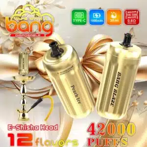 HookahBang Blaze 42000 Puff E-Shisha Head : De Complete Gids 2025imgi bang puffs